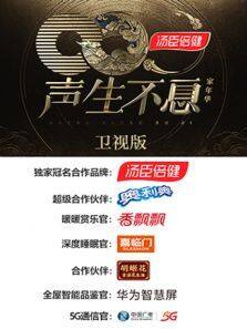 声生不息·家年华 卫视版